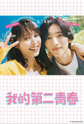 搜索引擎SEO优化方案